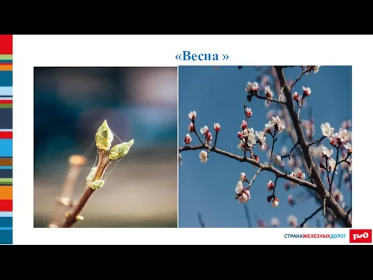 «Весна »