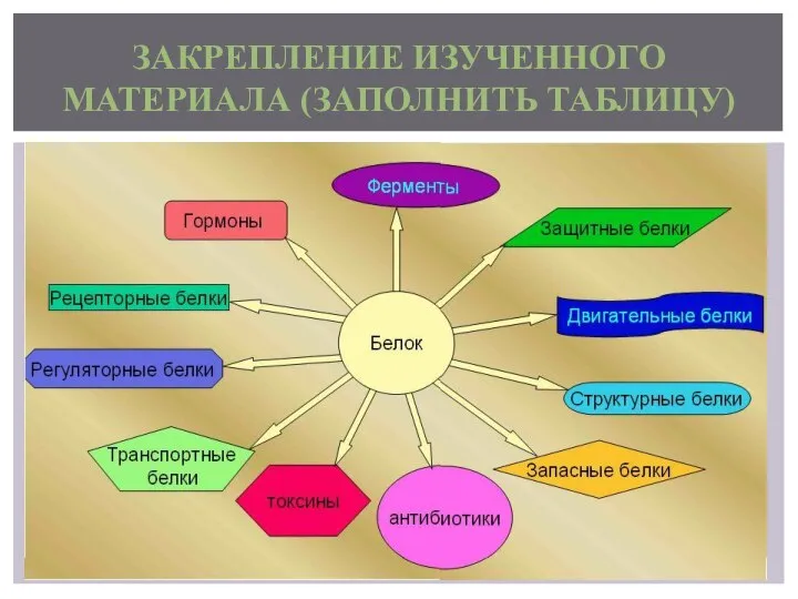 ЗАКРЕПЛЕНИЕ ИЗУЧЕННОГО МАТЕРИАЛА (ЗАПОЛНИТЬ ТАБЛИЦУ)