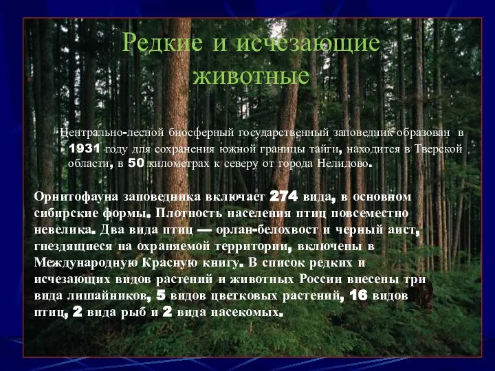 Редкие и исчезающие животные Центрально-лесной биосферный государственный заповедник образован в 1931