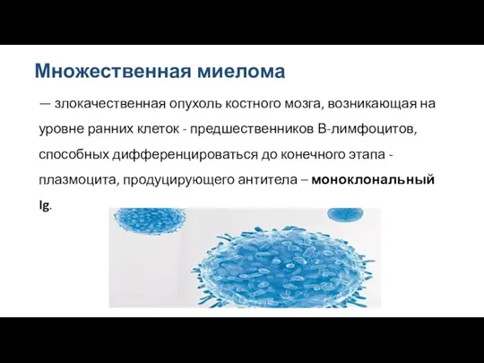 Множественная миелома — злокачественная опухоль костного мозга, возникающая на уровне ранних