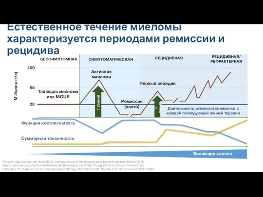 Естественное течение миеломы характеризуется периодами ремиссии и рецидива Рисунок адаптирован из