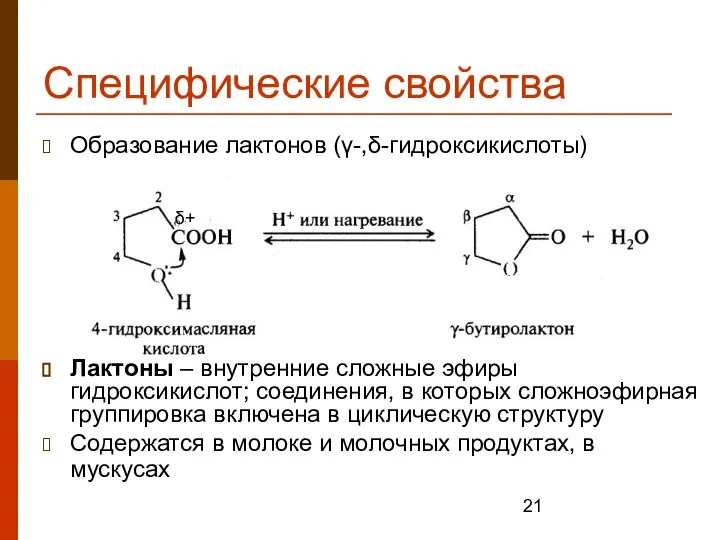 Специфические свойства Образование лактонов (γ-,δ-гидроксикислоты) Лактоны – внутренние сложные эфиры гидроксикислот;