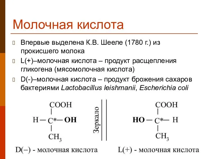 Молочная кислота Впервые выделена К.В. Шееле (1780 г.) из прокисшего молока