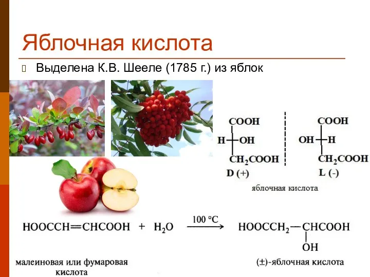 Яблочная кислота Выделена К.В. Шееле (1785 г.) из яблок