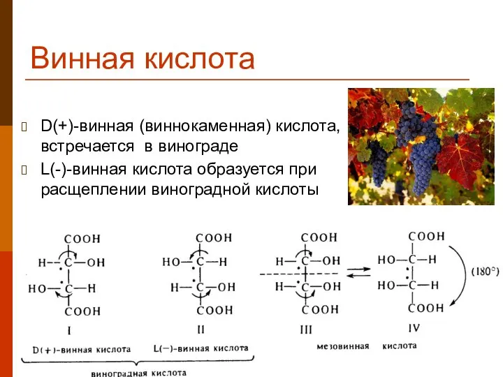 Винная кислота D(+)-винная (виннокаменная) кислота, встречается в винограде L(-)-винная кислота образуется при расщеплении виноградной кислоты