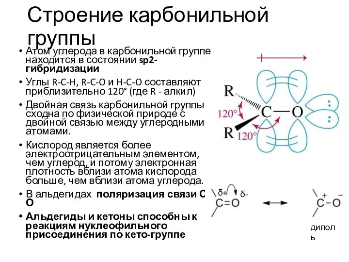 Строение карбонильной группы Атом углерода в карбонильной группе находится в состоянии