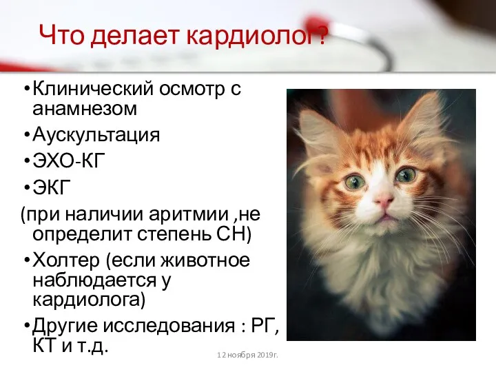 Что делает кардиолог? Клинический осмотр с анамнезом Аускультация ЭХО-КГ ЭКГ (при