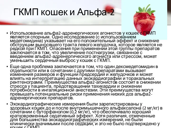 ГКМП кошек и Альфа-2 Использование альфа2-адренергических агонистов у кошек с ГКМП