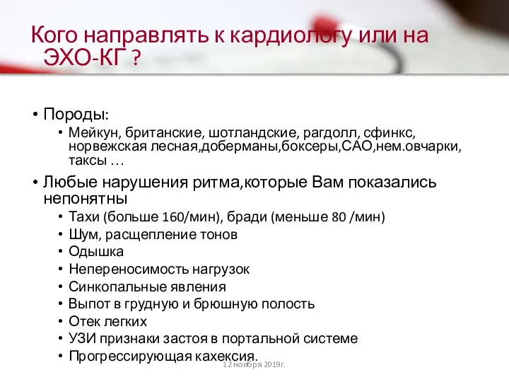 Кого направлять к кардиологу или на ЭХО-КГ ? Породы: Мейкун, британские,