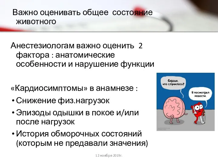 Важно оценивать общее состояние животного Анестезиологам важно оценить 2 фактора :