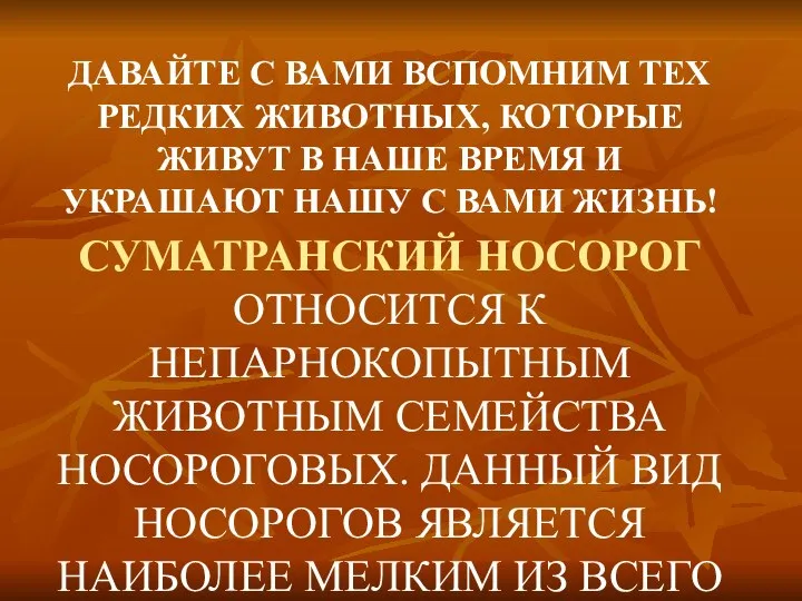 СУМАТРАНСКИЙ НОСОРОГ ОТНОСИТСЯ К НЕПАРНОКОПЫТНЫМ ЖИВОТНЫМ СЕМЕЙСТВА НОСОРОГОВЫХ. ДАННЫЙ ВИД НОСОРОГОВ