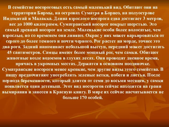 В семействе носороговых есть самый маленький вид. Обитают они на территории