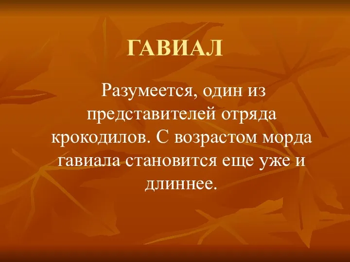 ГАВИАЛ Разумеется, один из представителей отряда крокодилов. С возрастом морда гавиала становится еще уже и длиннее.