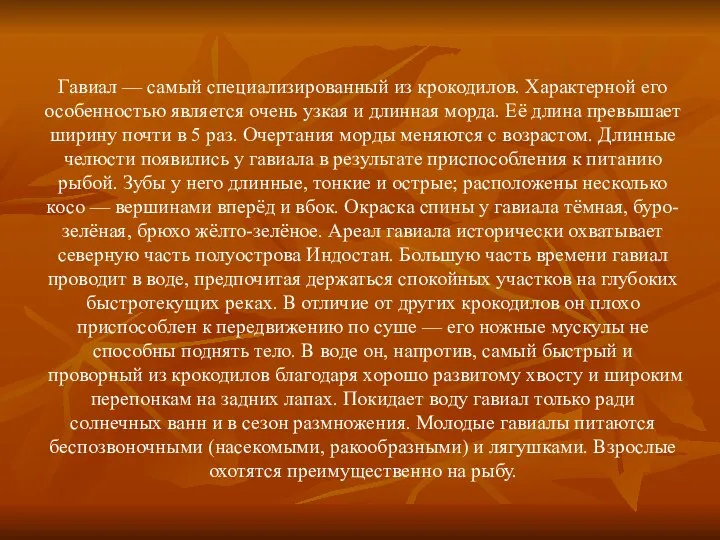 Гавиал — самый специализированный из крокодилов. Характерной его особенностью является очень