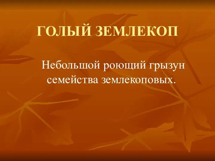 ГОЛЫЙ ЗЕМЛЕКОП Небольшой роющий грызун семейства землекоповых.