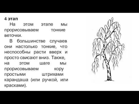 4 этап На этом этапе мы прорисовываем тонкие веточки. В большинстве