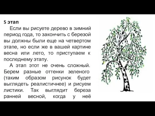 5 этап Если вы рисуете дерево в зимний период года, то