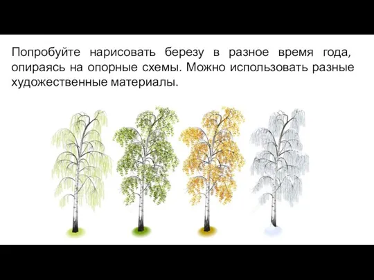 Попробуйте нарисовать березу в разное время года, опираясь на опорные схемы. Можно использовать разные художественные материалы.