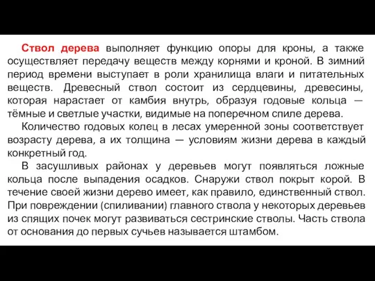 Ствол дерева выполняет функцию опоры для кроны, а также осуществляет передачу