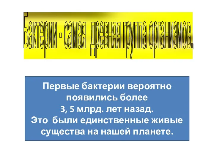 Первые бактерии вероятно появились более 3, 5 млрд. лет назад. Это