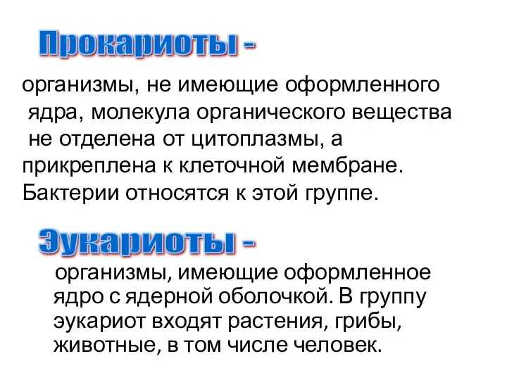 организмы, имеющие оформленное ядро с ядерной оболочкой. В группу эукариот входят