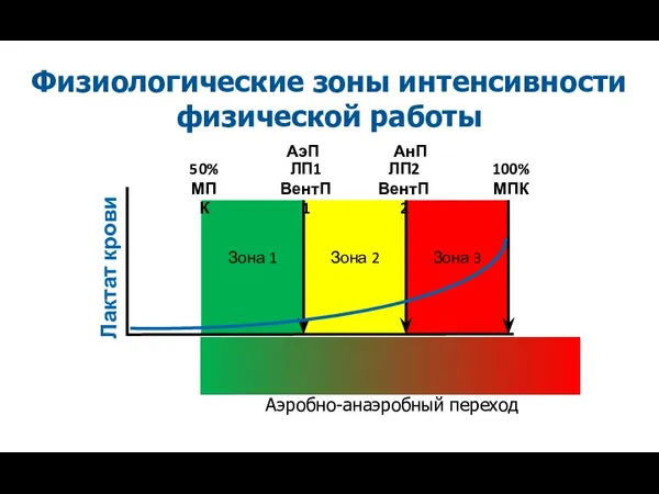 Физиологические зоны интенсивности физической работы Аэробно-анаэробный переход АэП АнП