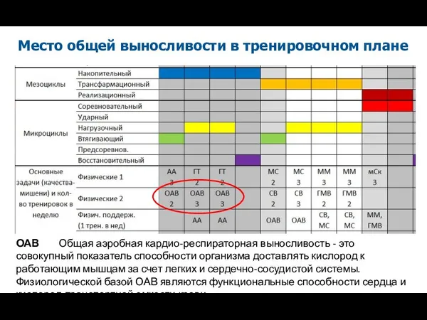 ОАВ Общая аэробная кардио-респираторная выносливость - это совокупный показатель способности организма