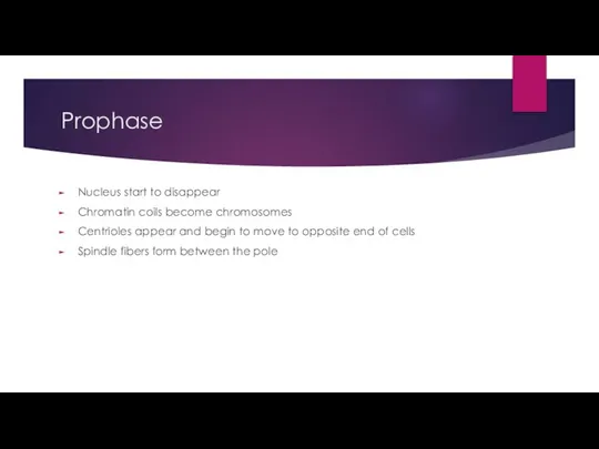 Prophase Nucleus start to disappear Chromatin coils become chromosomes Centrioles appear