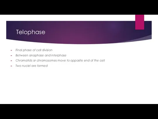 Telophase Final phase of cell division Between anaphase and interphase Chromatids