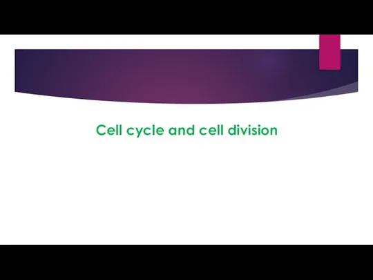 Cell cycle and cell division
