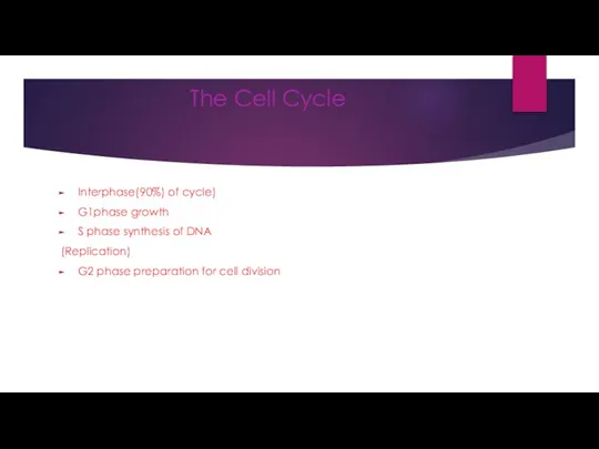 The Cell Cycle Interphase(90%) of cycle) G1phase growth S phase synthesis