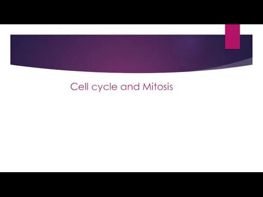 Cell cycle and Mitosis