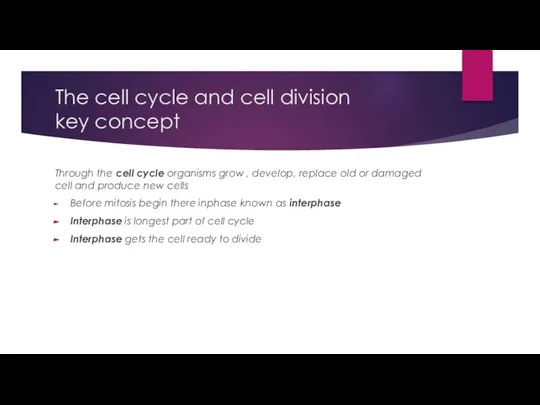 The cell cycle and cell division key concept Through the cell