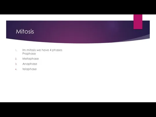 Mitosis Im mitosis we have 4 phases Prophase Metaphase Anaphase telophase