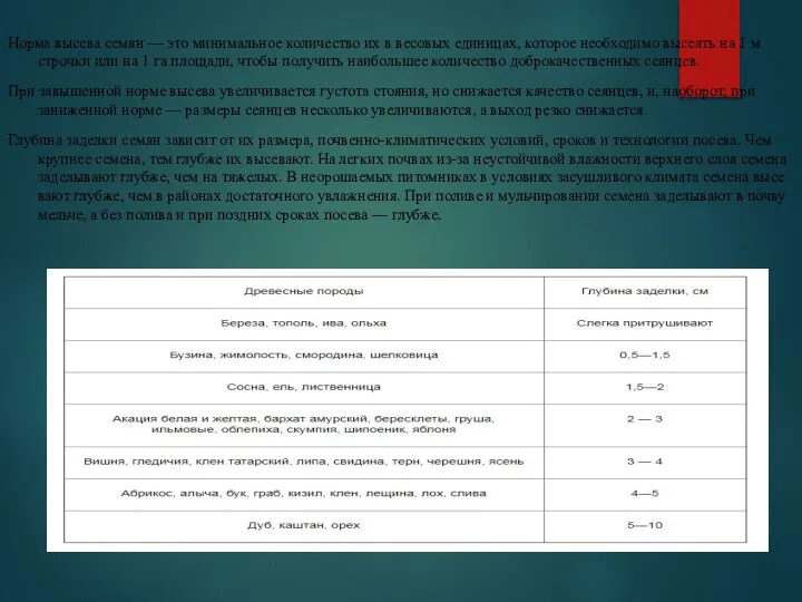 Норма высева семян — это минимальное количество их в весовых единицах,