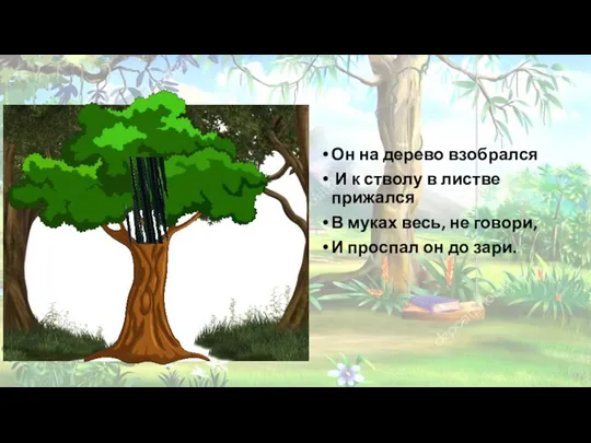 Он на дерево взобрался И к стволу в листве прижался В