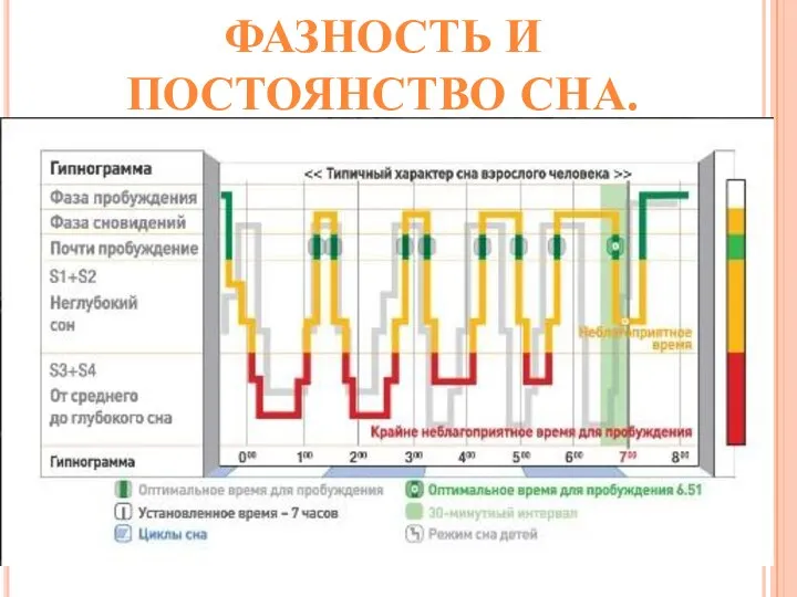 ФАЗНОСТЬ И ПОСТОЯНСТВО СНА.