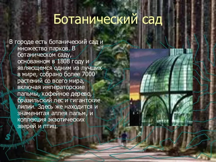 Ботанический сад В городе есть ботанический сад и множество парков. В