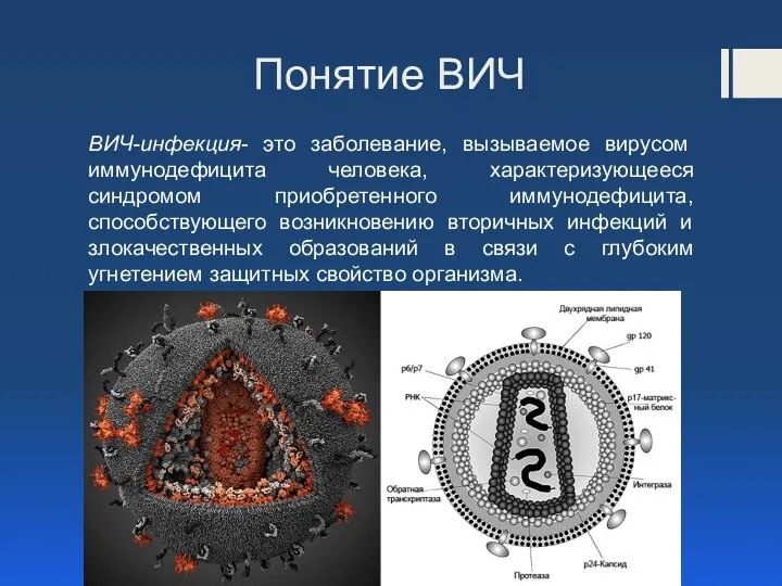 Понятие ВИЧ ВИЧ-инфекция- это заболевание, вызываемое вирусом иммунодефицита человека, характеризующееся синдромом