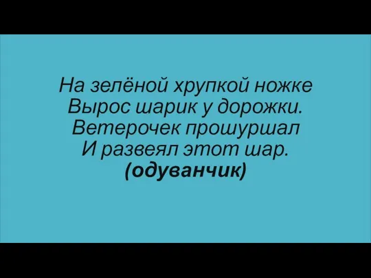 На зелёной хрупкой ножке Вырос шарик у дорожки. Ветерочек прошуршал И развеял этот шар. (одуванчик)