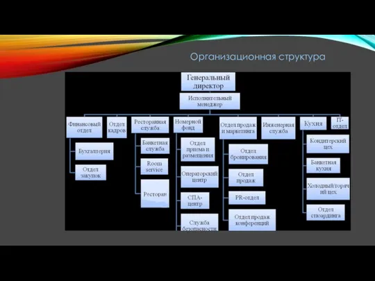 Организационная структура