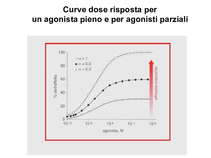 Curve dose risposta per un agonista pieno e per agonisti parziali