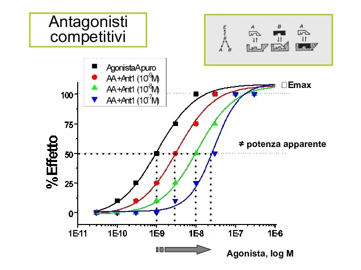 Antagonisti competitivi Agonista, log M ?Emax potenza apparente