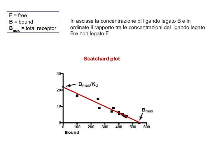 F = free B = bound Bmax = total receptor In