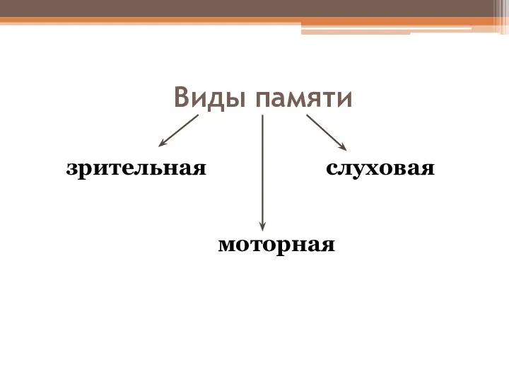 Виды памяти зрительная слуховая моторная