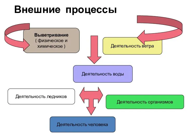 Внешние процессы Выветривание ( физическое и химическое ) Деятельность воды Деятельность