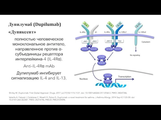 полностью человеческое моноклональное антитело, направленное против α-субъединицы рецептора интерлейкина-4 (IL-4Rα). Anti-IL-4Rα