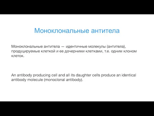 Моноклональные антитела Моноклональные антитела — идентичные молекулы (антитела), продуцируемые клеткой и