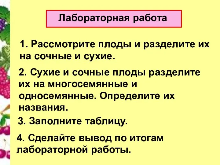 Лабораторная работа 1. Рассмотрите плоды и разделите их на сочные и