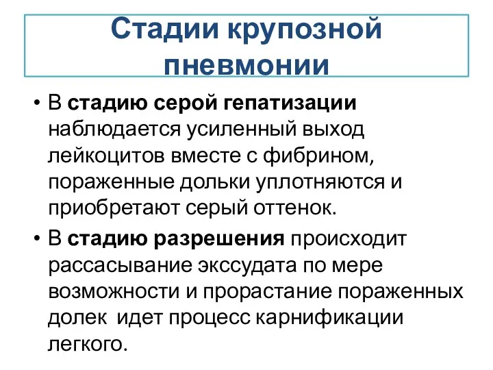 Стадии крупозной пневмонии В стадию серой гепатизации наблюдается усиленный выход лейкоцитов